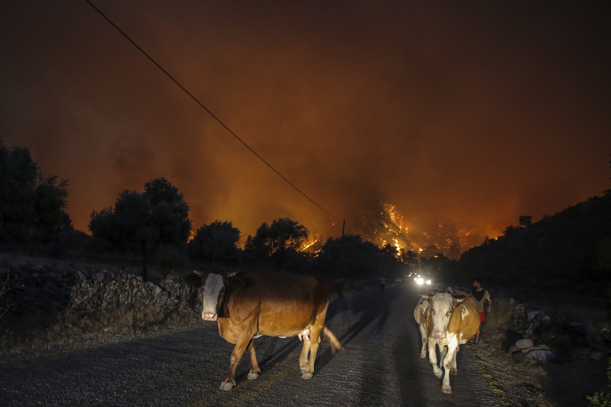 Egy hőerőművet is elért a török erdőtűz