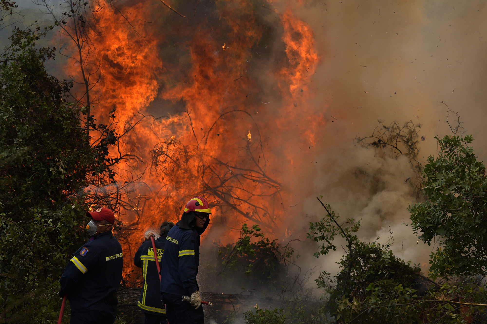 Görögországi tüzek: több mint százezer hektár terület égett le két hét alatt