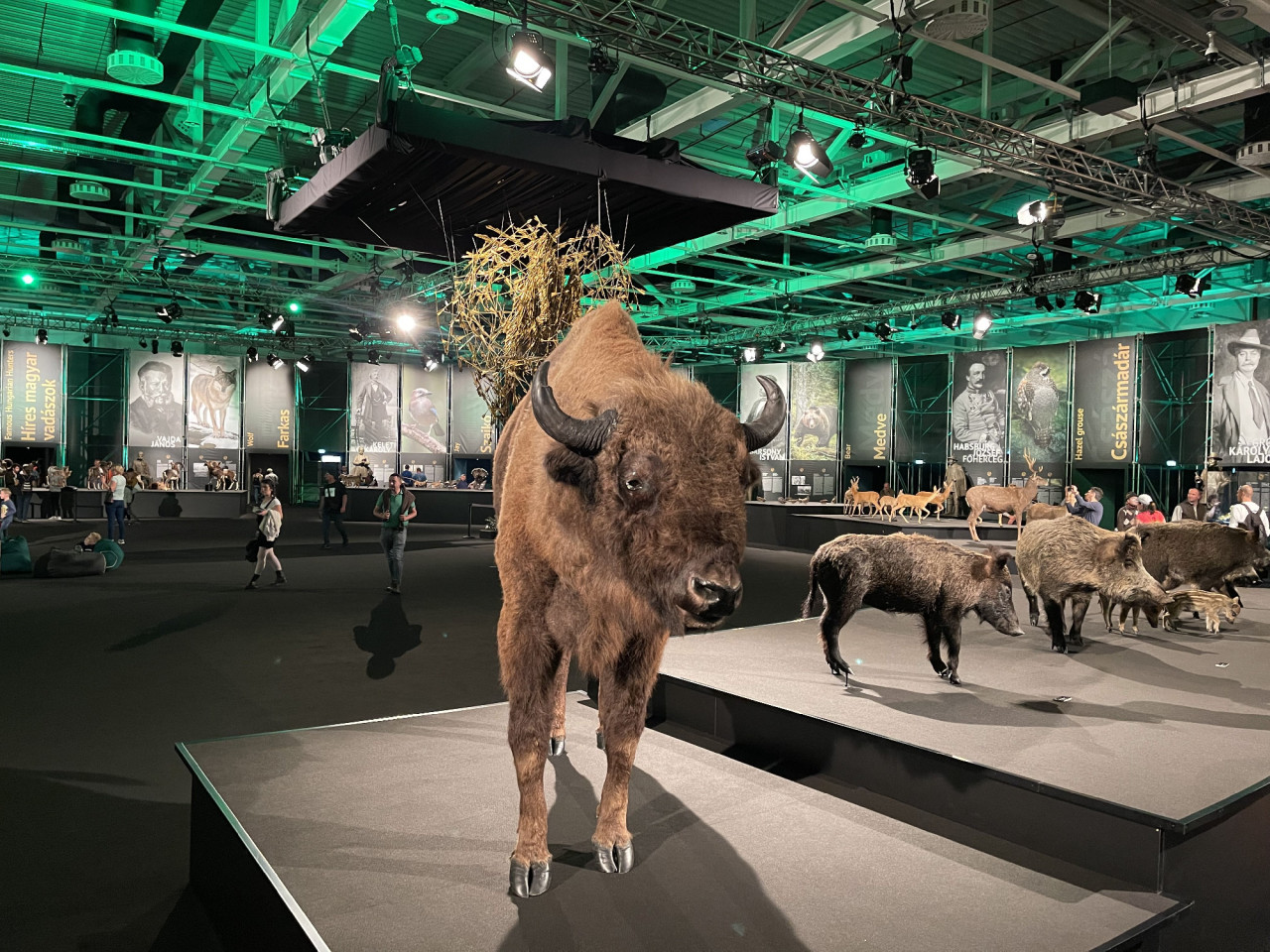 Kitömött állatok az „Egy a Természettel” Vadászati és Természeti Világkiállításon a Hungexpo Budapest Kongresszusi és Kiállítási Központban 2021. szeptember 25-én. (Fotó: Lukács Csaba/Magyar Hang)