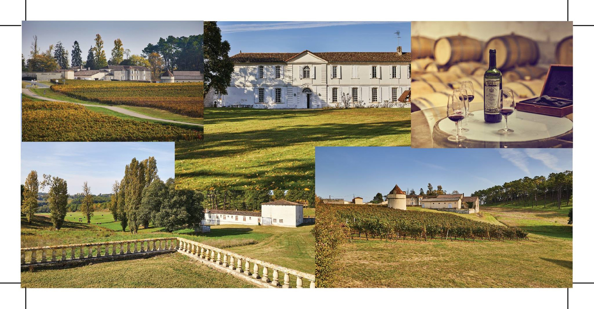 Bordeaux-ban vett szőlőbírtokot Mészáros Lőrinc borásza