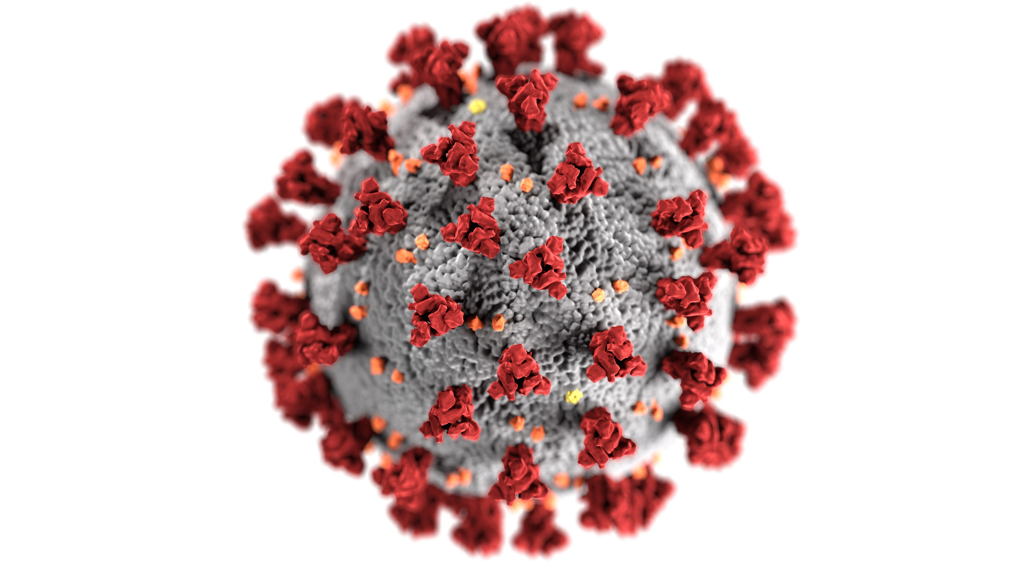 Európában is felbukkant a koronavírus legújabb, dél-afrikai variánsa