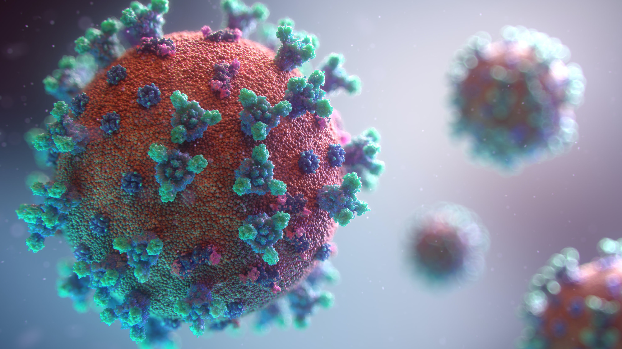 Egy tanulmány szerint az omikron azért fertőzőbb, mert a régi típusú koronavírussal kombinálódott
