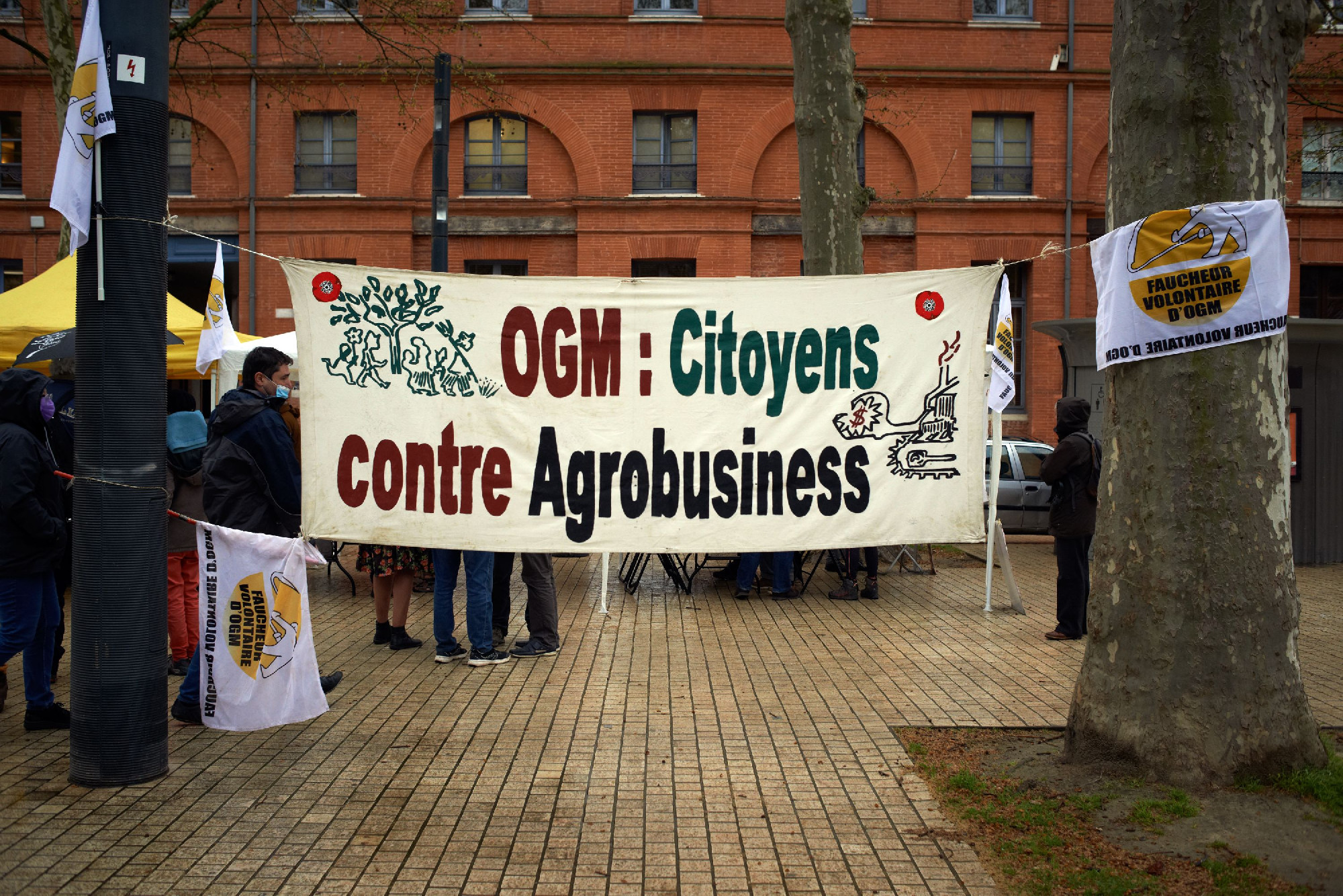Kiskaput jelenthet az új GMO-knak a háború