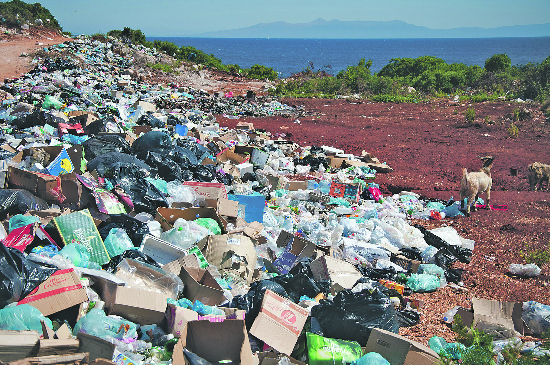 Meg kell tanulnunk, hogyan juttathatjuk vissza a hulladékká vált anyagokat a körforgásba