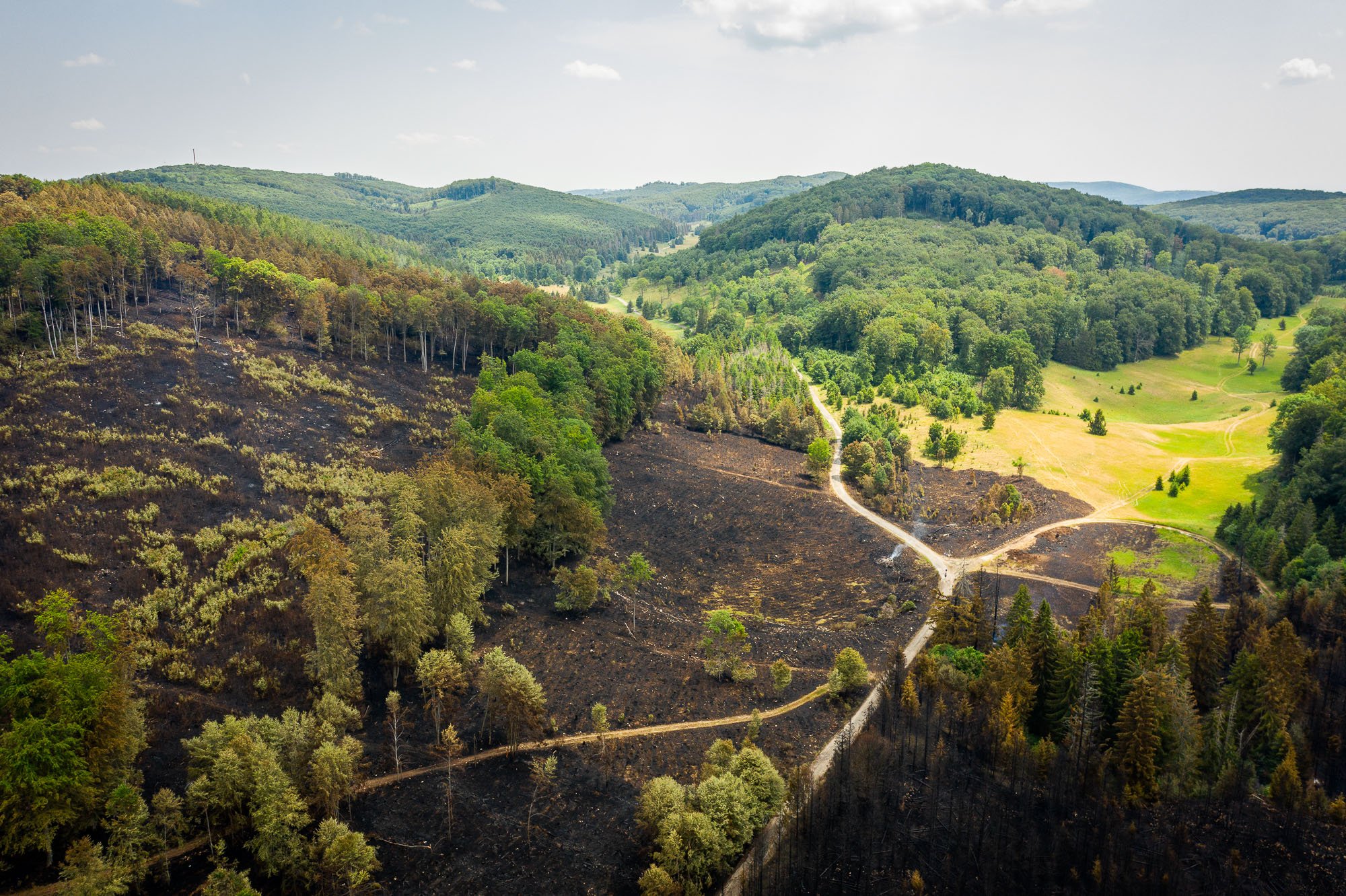Lángolt a bükki fenyőerdő, képeken a pusztítás 