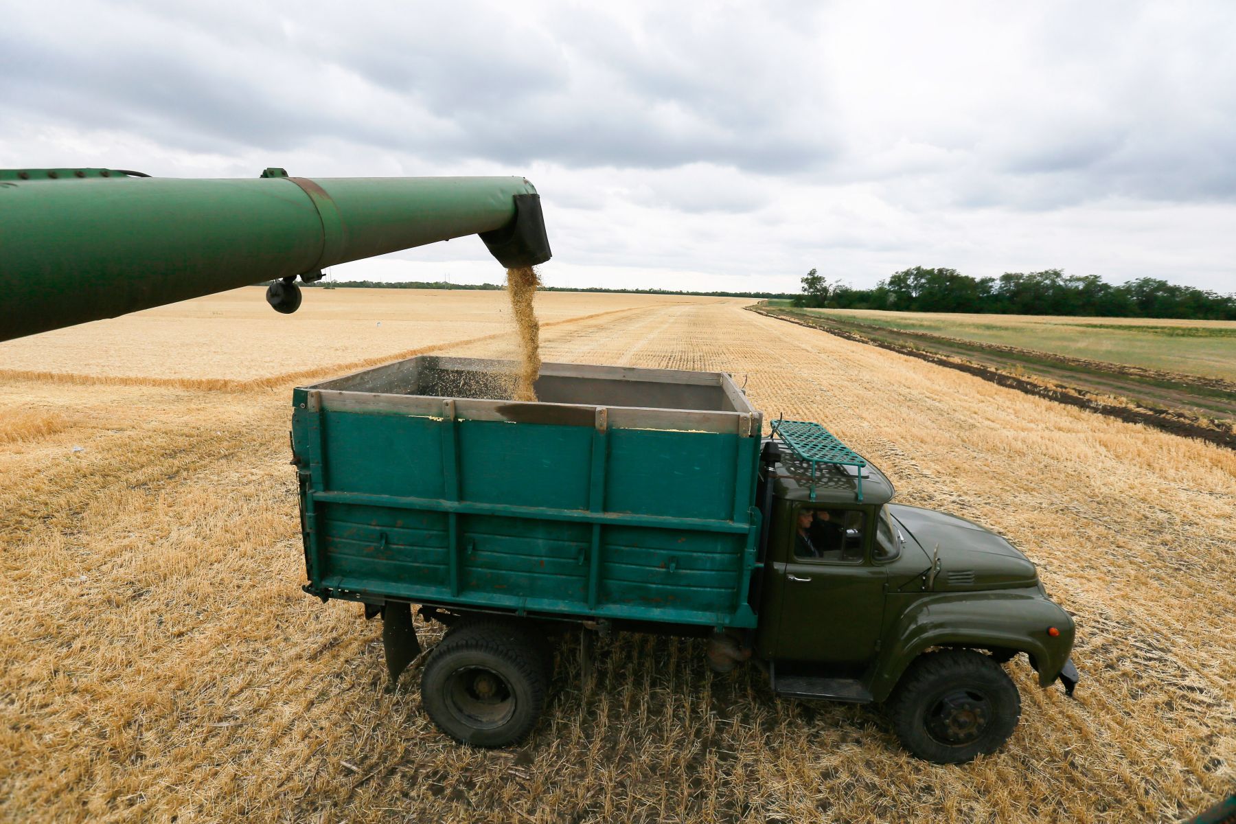 Év végéig meghosszabbítanák az ukrán gabonafélék behozatali tilalmát