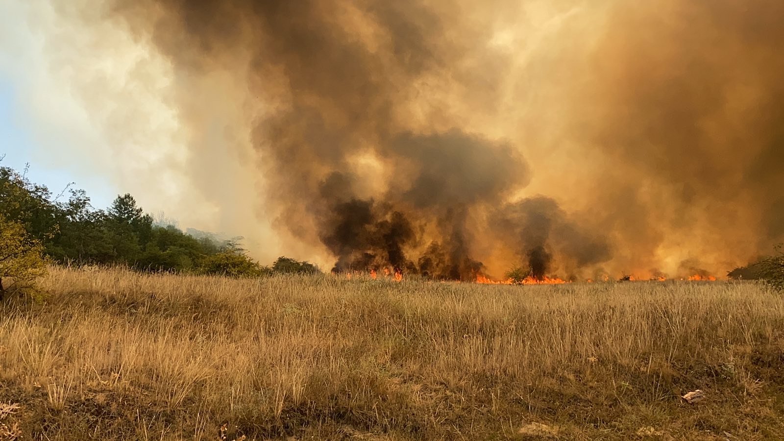 Továbbterjedt az év legnagyobb tüze Tatárszentgyörgynél