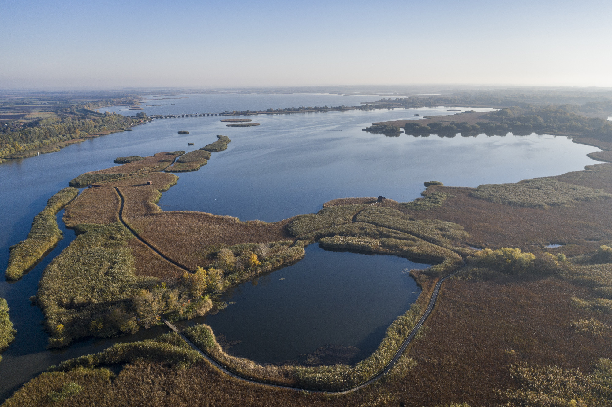 A sekélyebb vizek már életveszélyesek a Tisza-tó halai számára