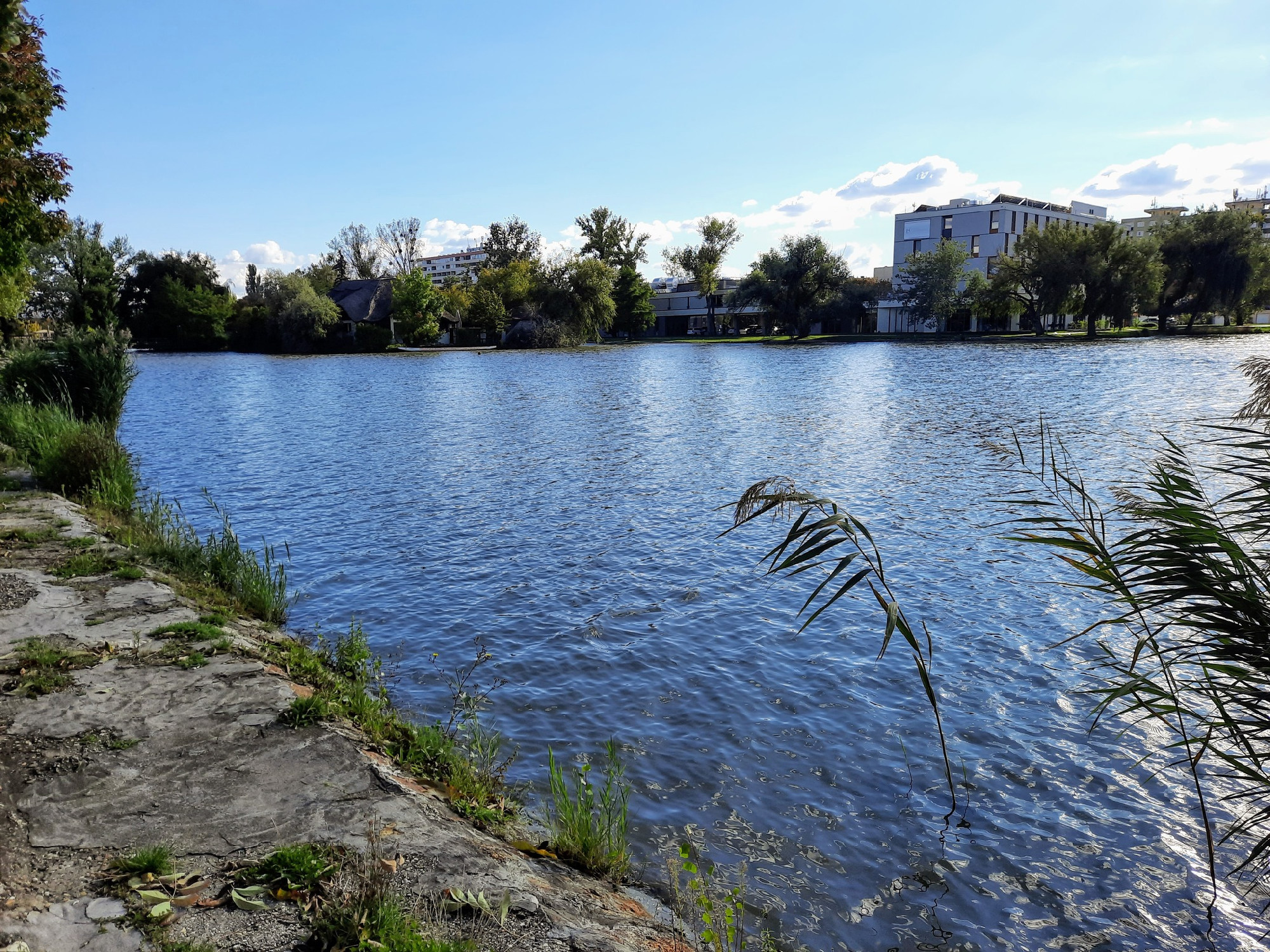 Holttestet találtak a székesfehérvári vidámparki tónál