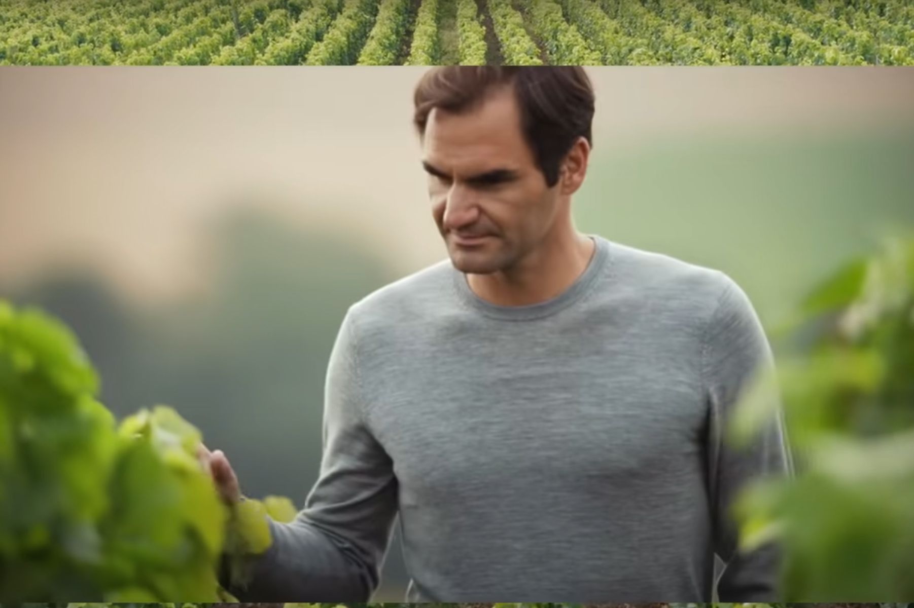 Federer borai