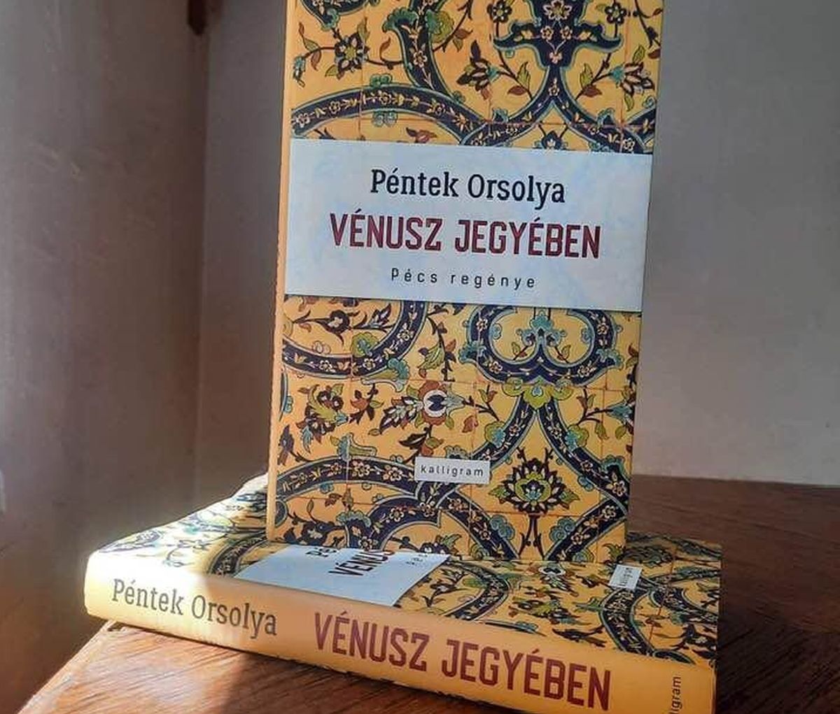 Nem lehet félvállról olvasni Pécs regényét