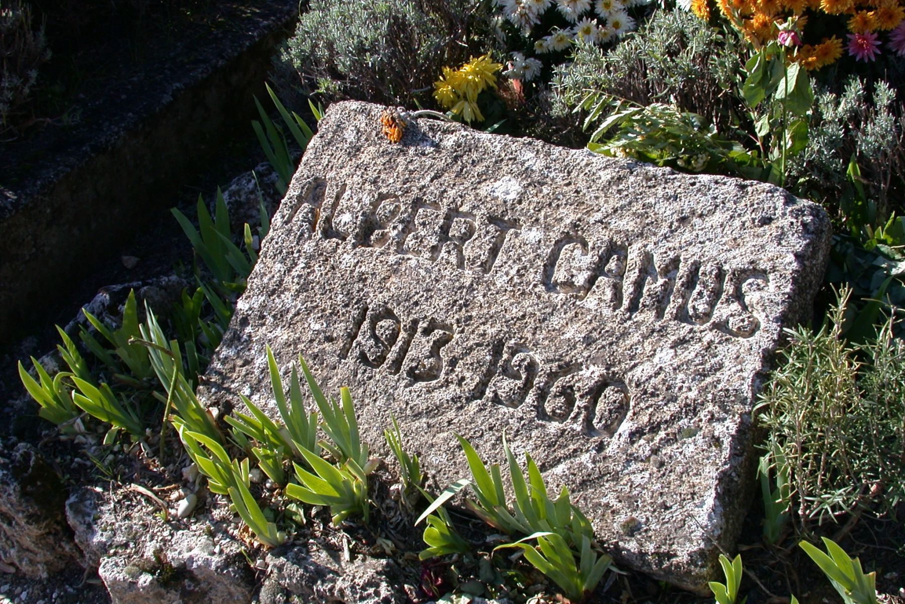 Idegenek – A 110 éve született Albert Camus emlékére