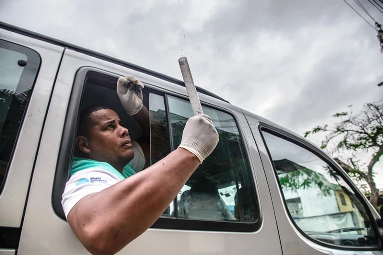 Évi ötmilliárd baktériumfertőzött szúnyogot engednek szabadon Brazíliában