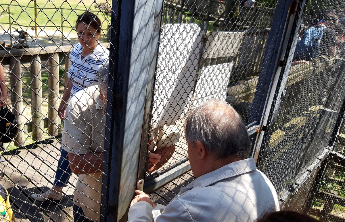 Látogatók szorultak be a Nyíregyházi Állatkert makierdejébe