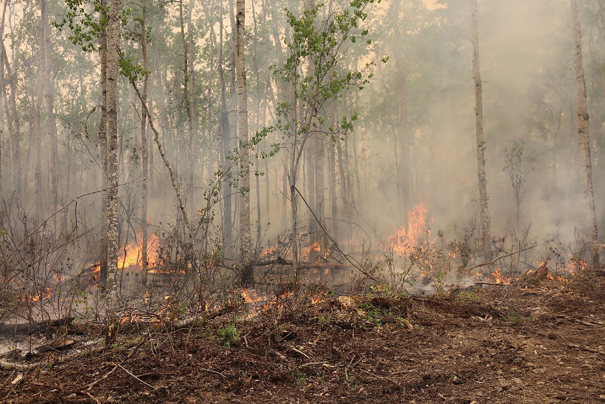 Európát is eléri a kanadai erdőtüzekből származó füst