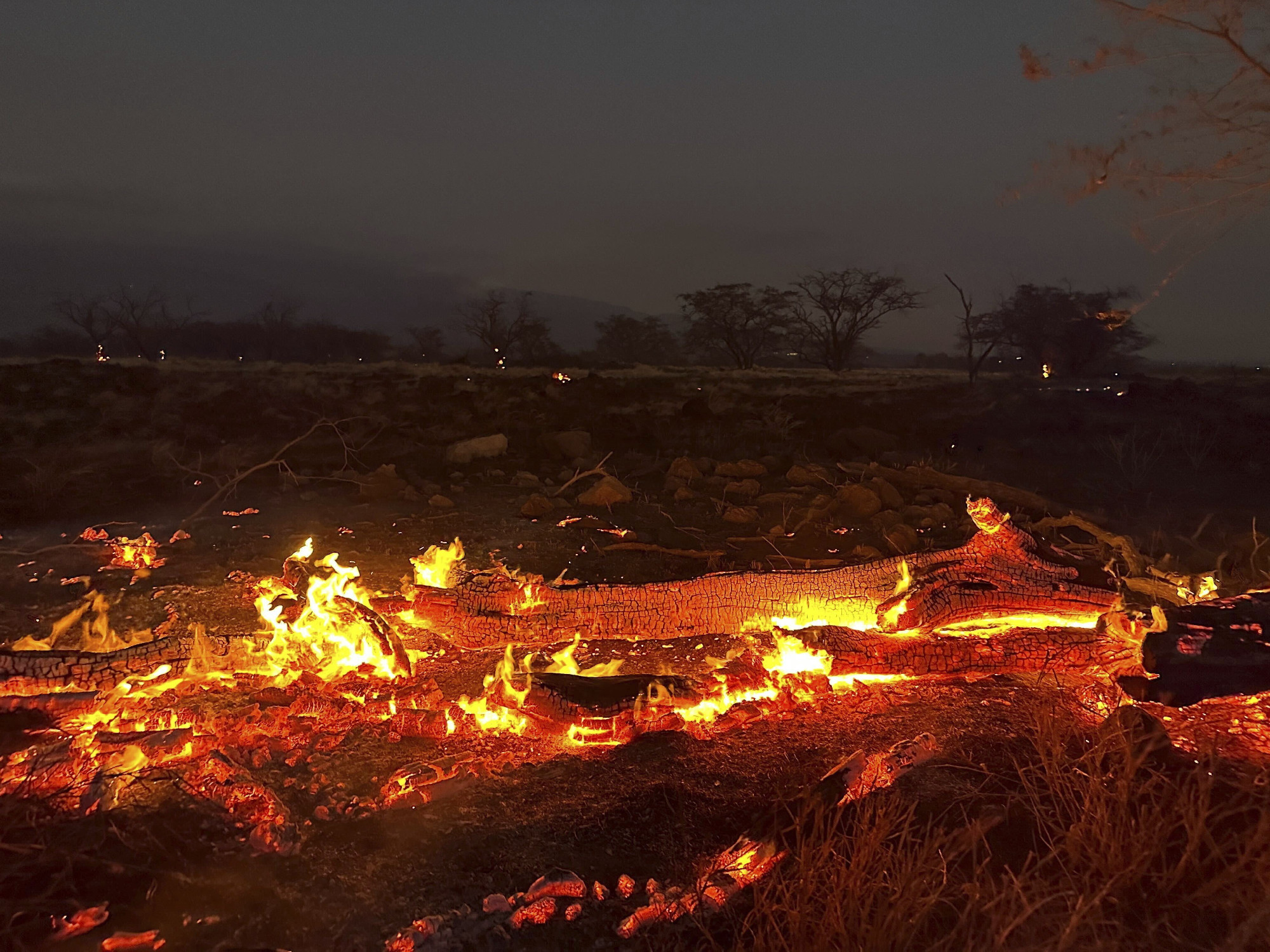 Már 36 halálos áldozata van a soha nem látott hawaii erdőtűznek