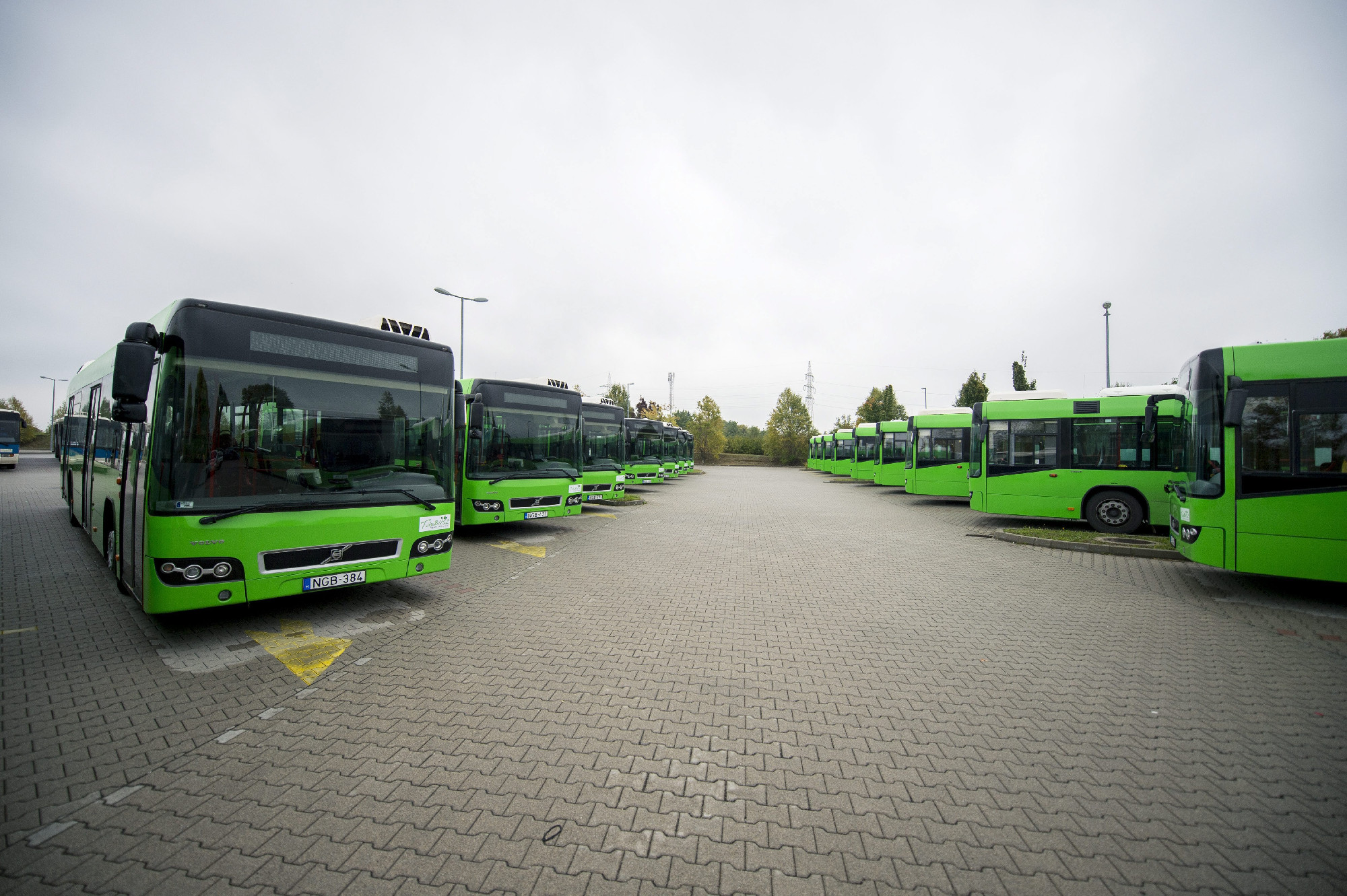 Pécsi buszper: az elsőfokú ítélet hatályon kívül helyezését indítványozza az ügyészség
