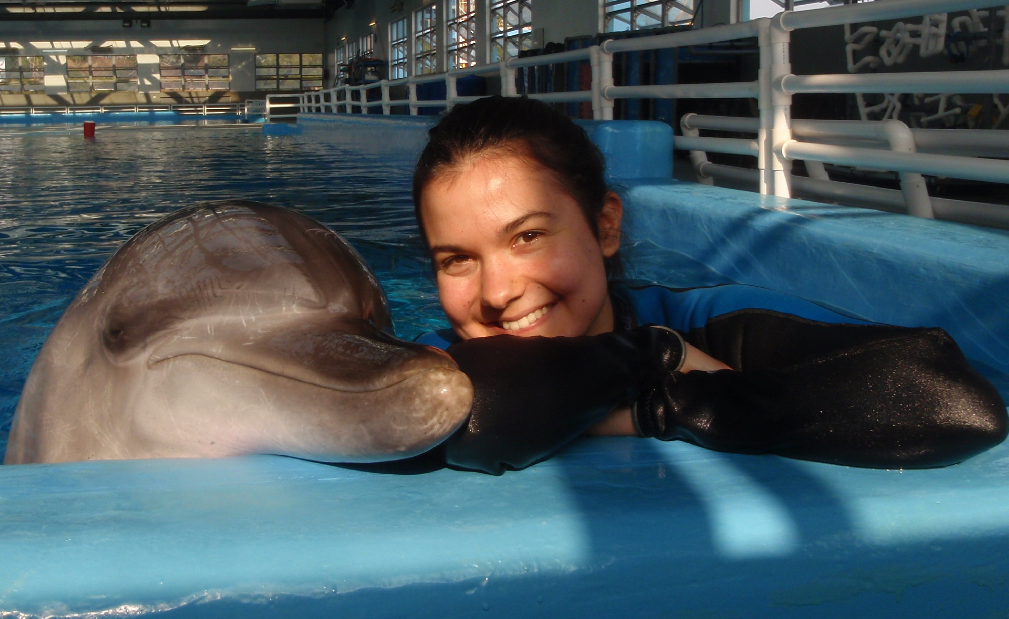 A delfinek a saját testrészeikről is tudatosan gondolkodnak