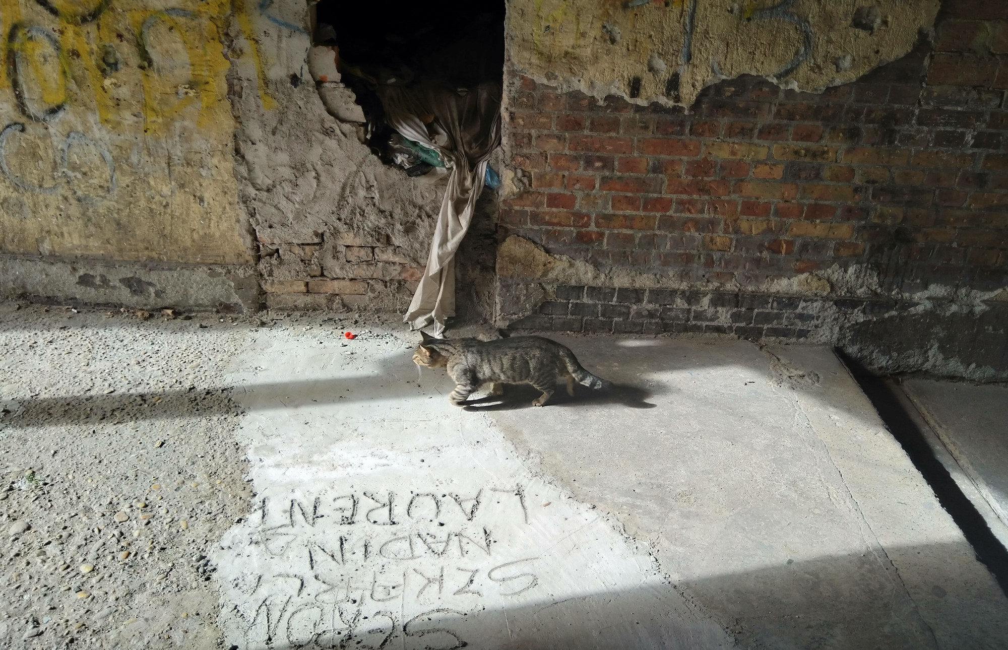 Mocsok és macskák – Kőbánya vezetése korán búcsúztatja a bontásra ítélt gettót