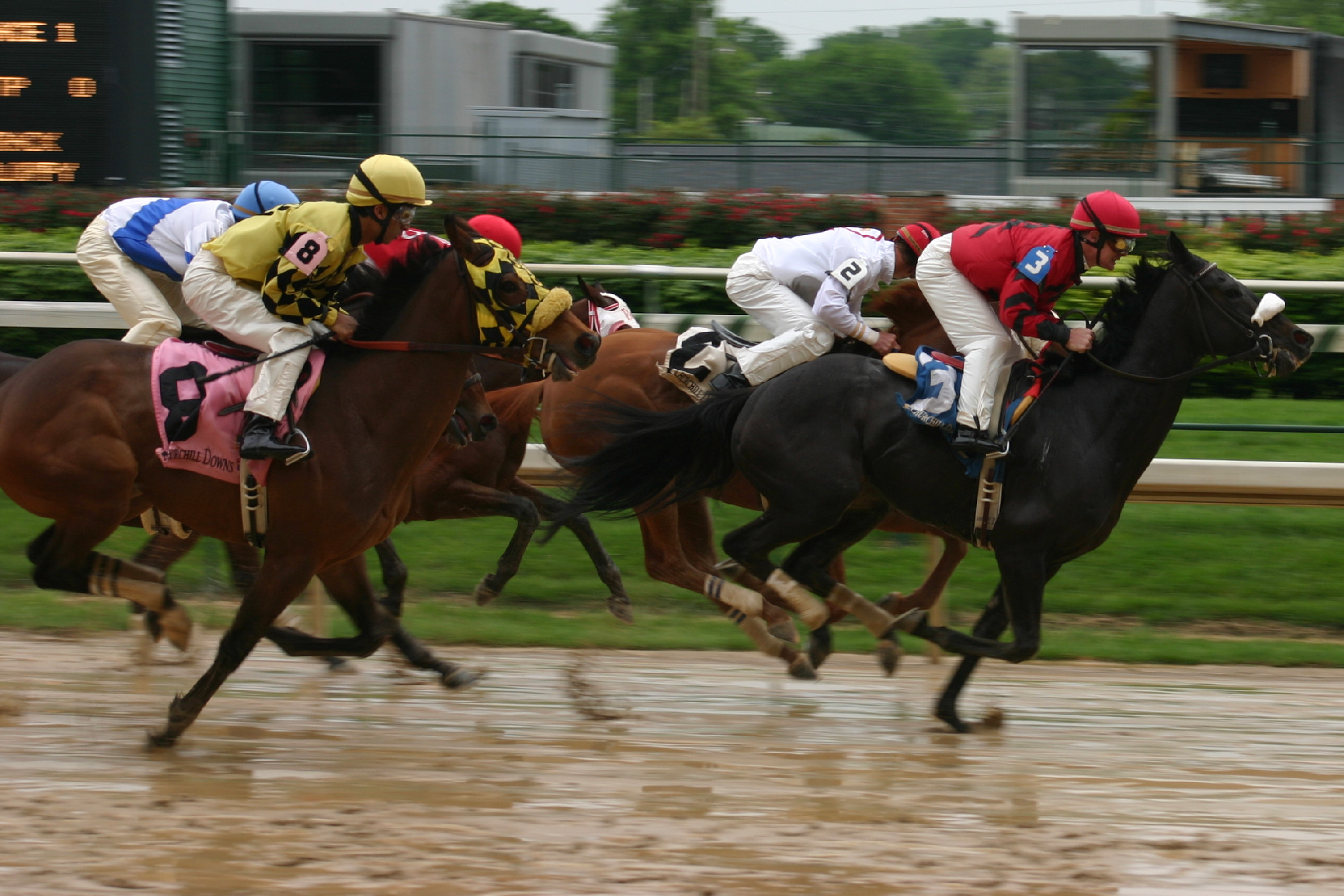 Sorra pusztulnak el a legnagyobb presztízsű lóversenyek résztvevői 