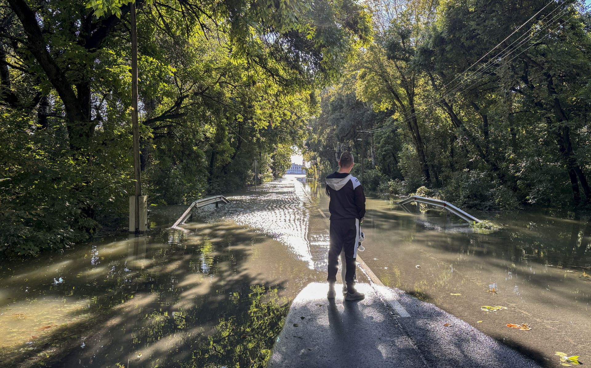 A Dunánál derékig vízben állnak, a Tisza mellett kiszáradnak a fák