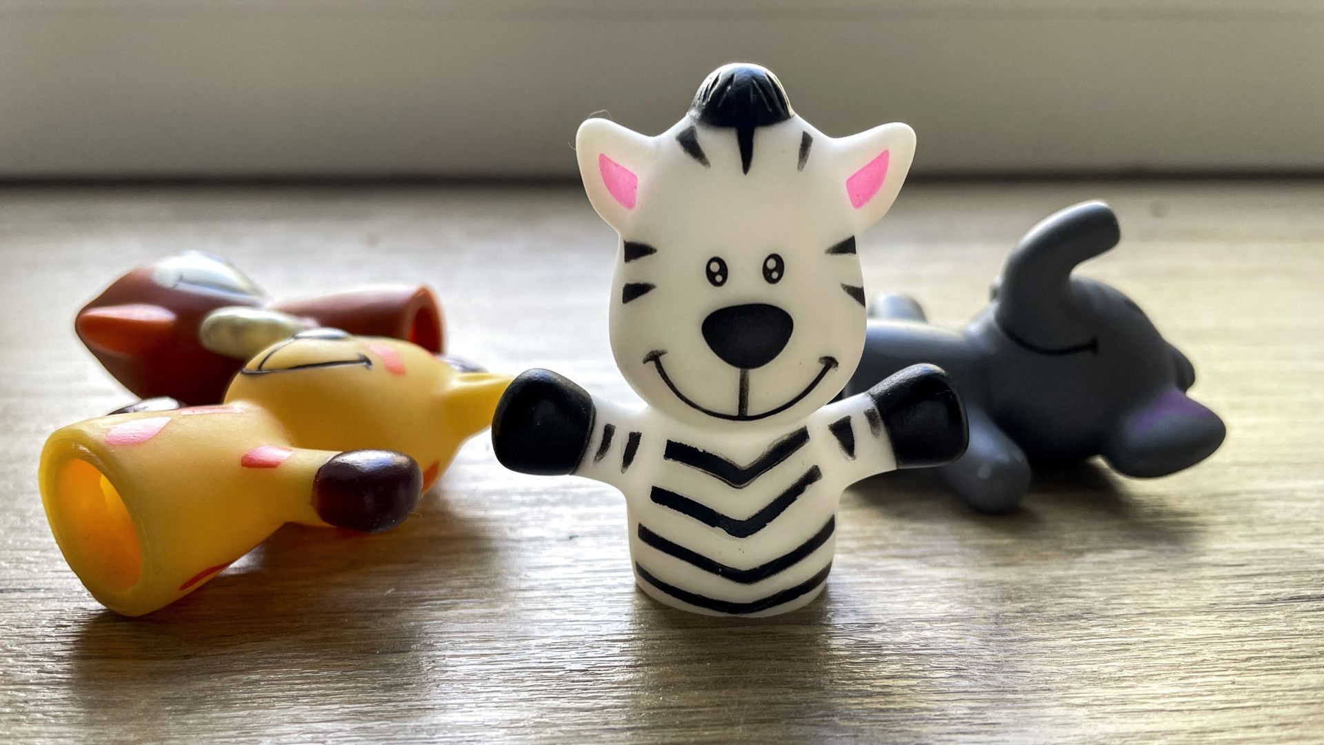 Je suis kicsi zebra!