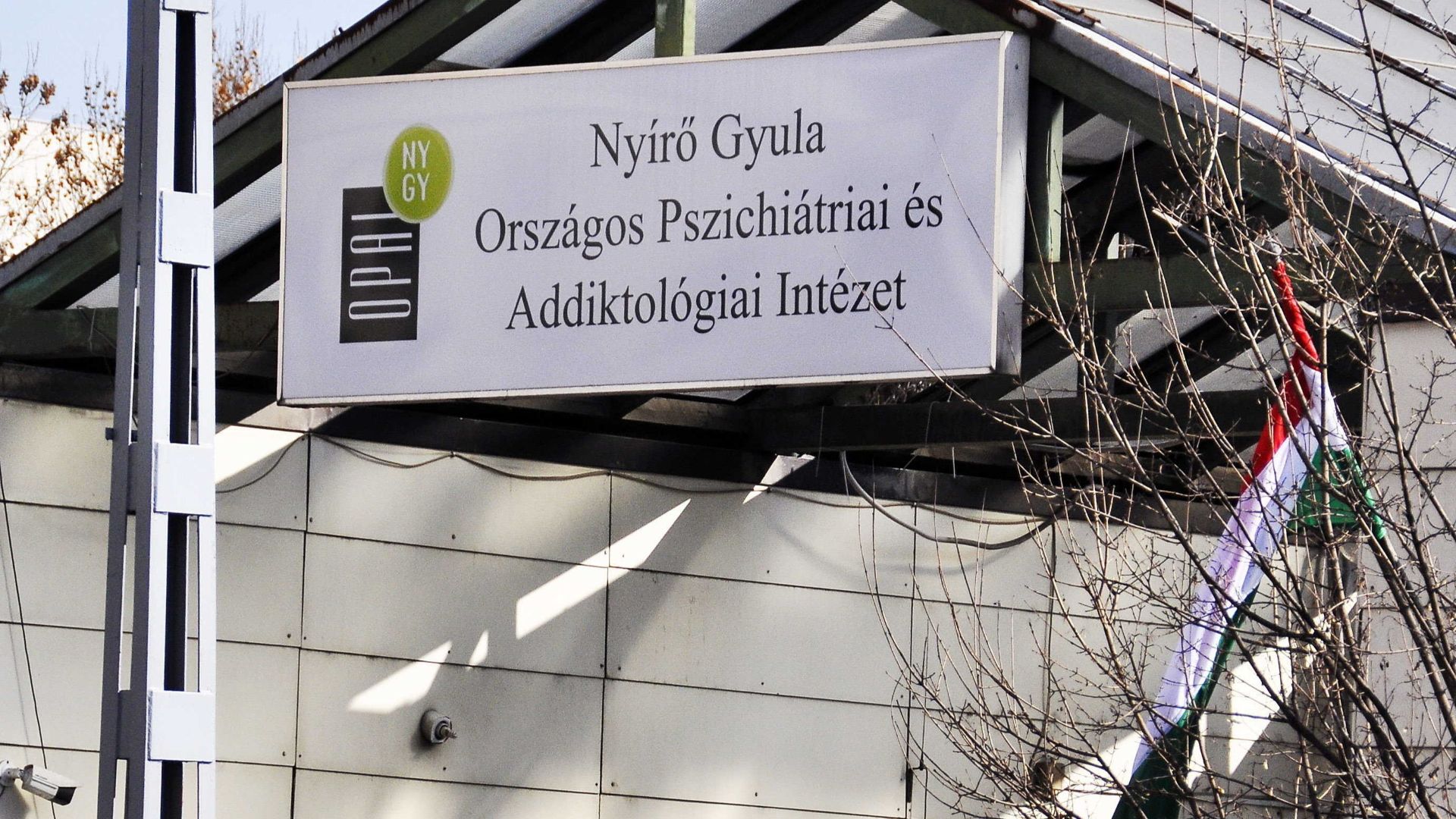 Minisztériumi forrásunk szerint „a gyengeség beismerése lenne” Ézsi Robin menesztése