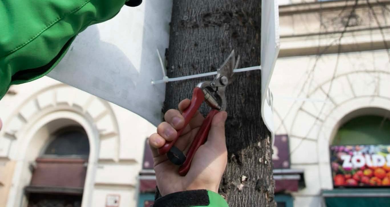 A fővárosban eltávolítják a fákra aggatott választási plakátokat