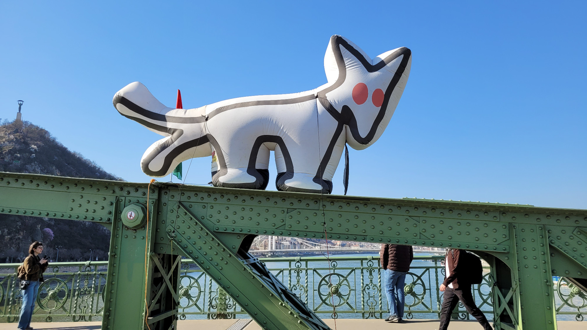 Eddig 55 millió forint gyűlt össze a Kutyapártnak, 686 milliót kell visszafizetniük