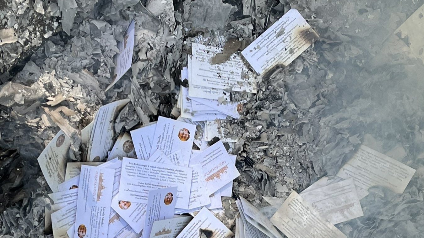 Lezsák Sándor elégette névjegykártyáit, távozva a magyar parlamentből — image 5