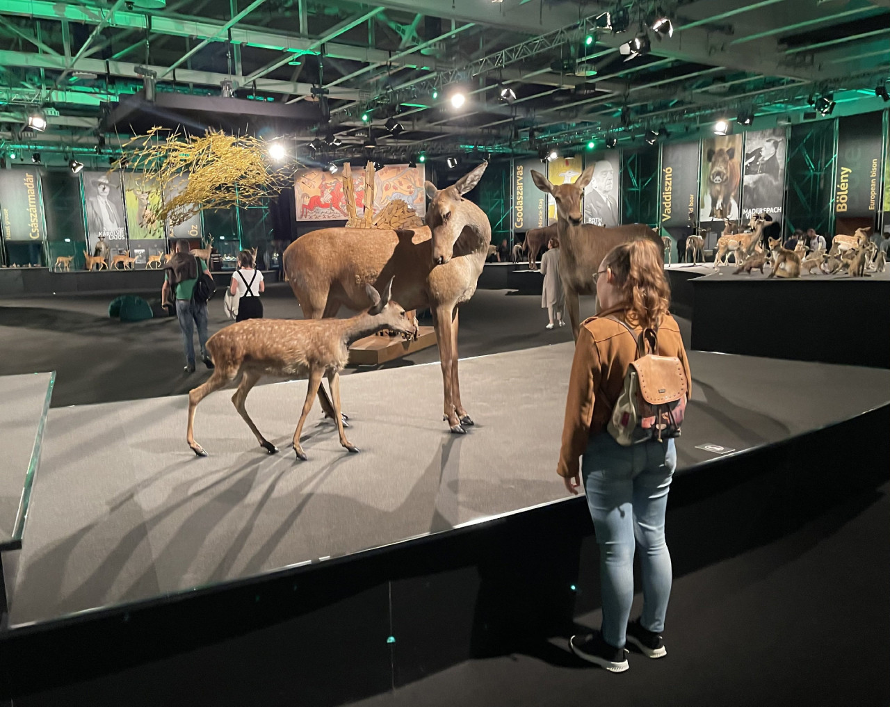 Érdeklődő az „Egy a Természettel” Vadászati és Természeti Világkiállításon a Hungexpo Budapest Kongresszusi és Kiállítási Központban 2021. szeptember 25-én. (Fotó: Lukács Csaba/Magyar Hang)