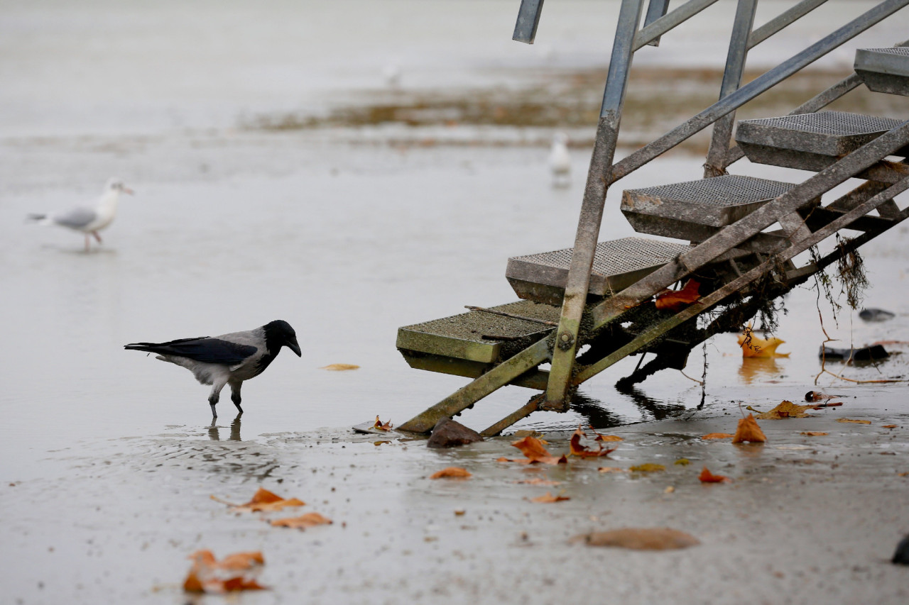 Eltűnt a víz a Balatonból a szél miatt