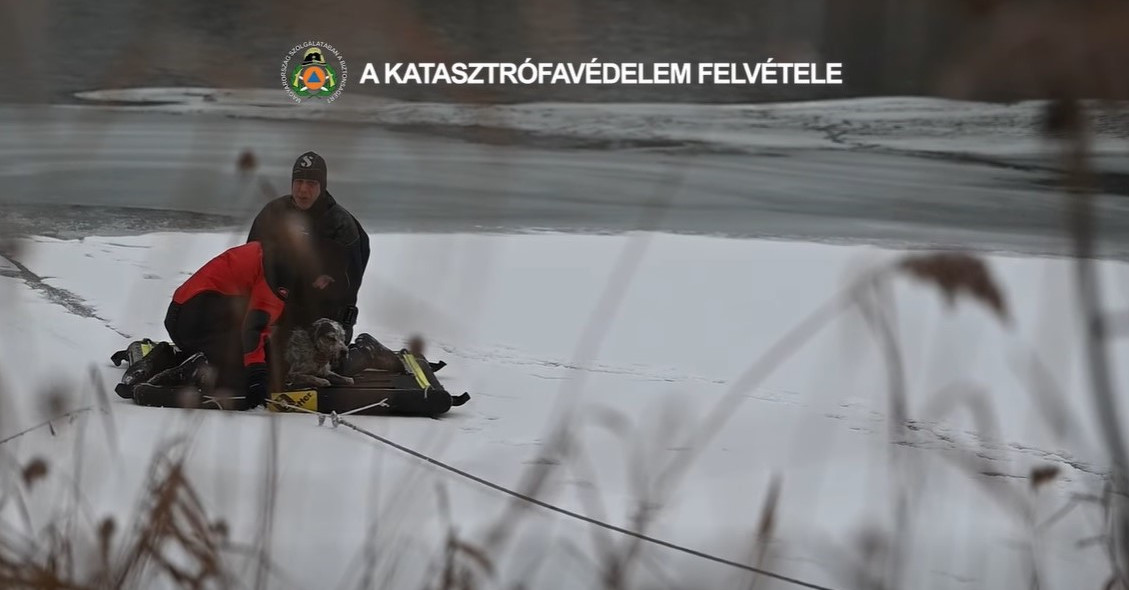 Videón, ahogy a jégről mentenek ki egy kutyát a budapesti tűzoltók
