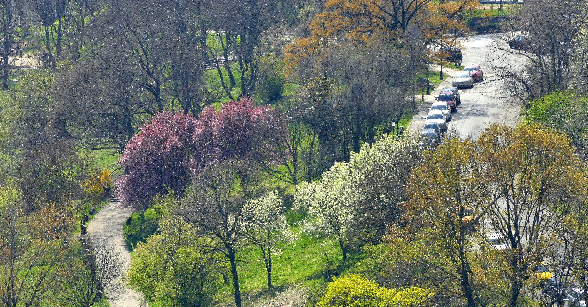 A pestiek is csodájára jártak a ragyogó bugyogónak