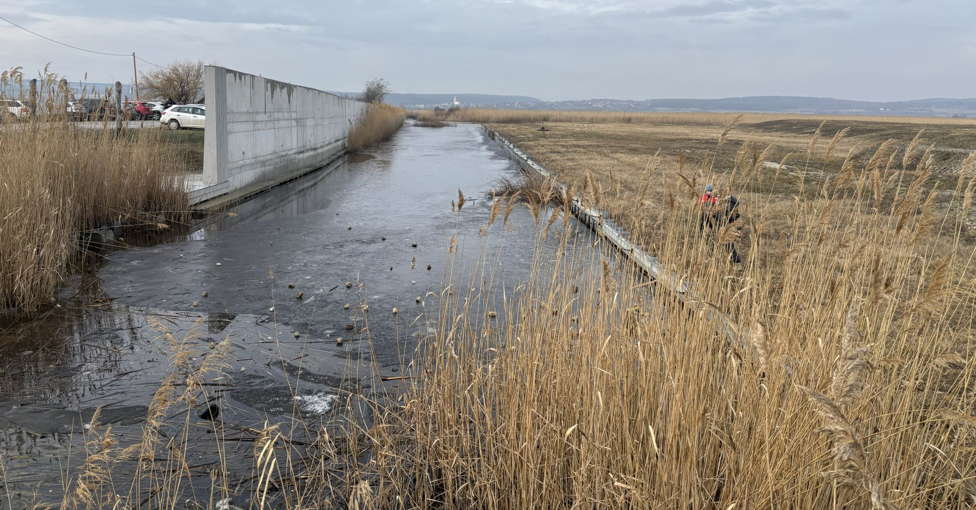 „Csak katasztrófaturisták látogatják a Fertő tavat.”