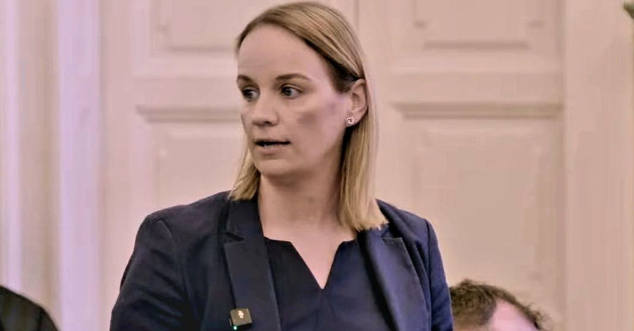 Győr környezetvédelmi intézkedéseket kér az Országgyűléstől.