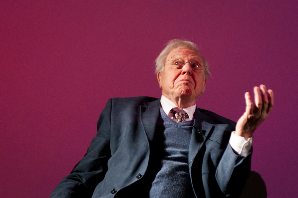 David Attenborough szerint már a láthatáron van a civilizációnk összeomlása