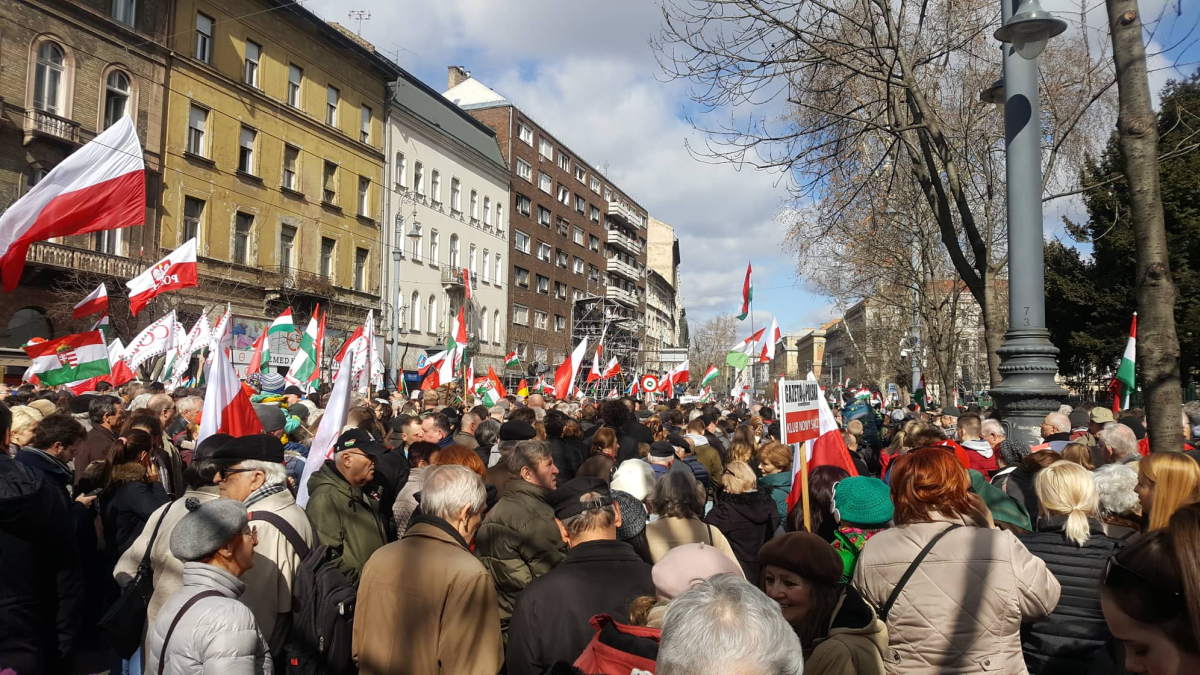 A német AfD-sek szívesen vennék Orbán közeledését, Budapestre is eljöttek