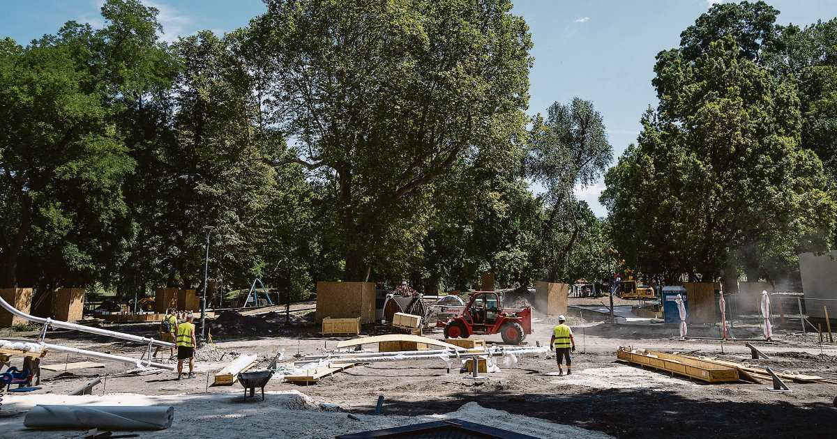 Újabb fákat költöztetnek el az építkezés miatt a Ligetben