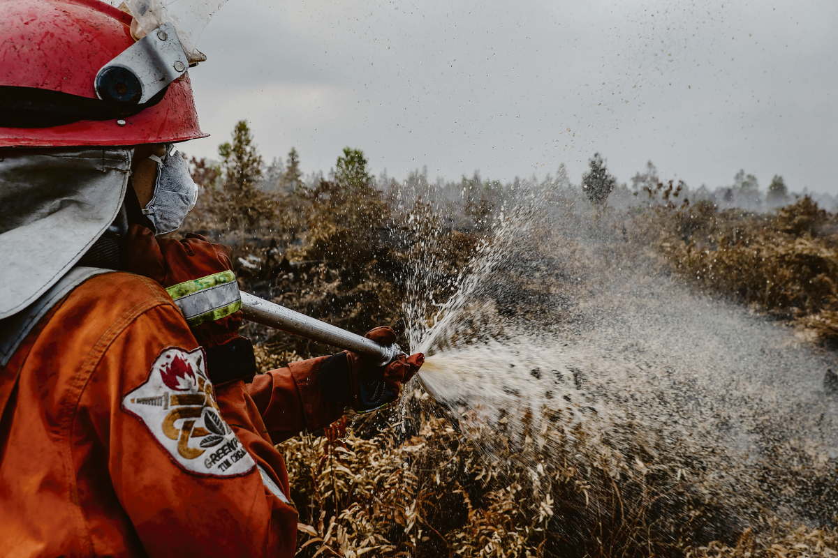 Borneón és Szumátrán a brazil tüzeknél is pusztítóbbak a lángok