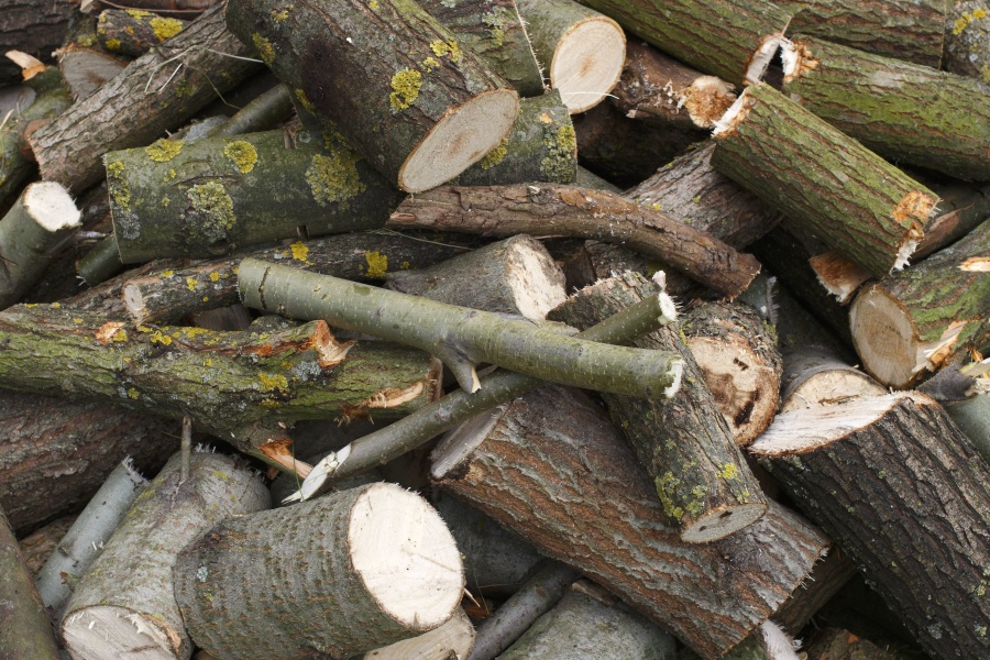 Növelni kellett az erdőgazdaságok termelési kapacitását a Tűzifaprogram miatt