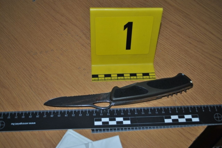 Kalapácsot és ollót is találtak a padtársát nyakon szúró budai diáknál 