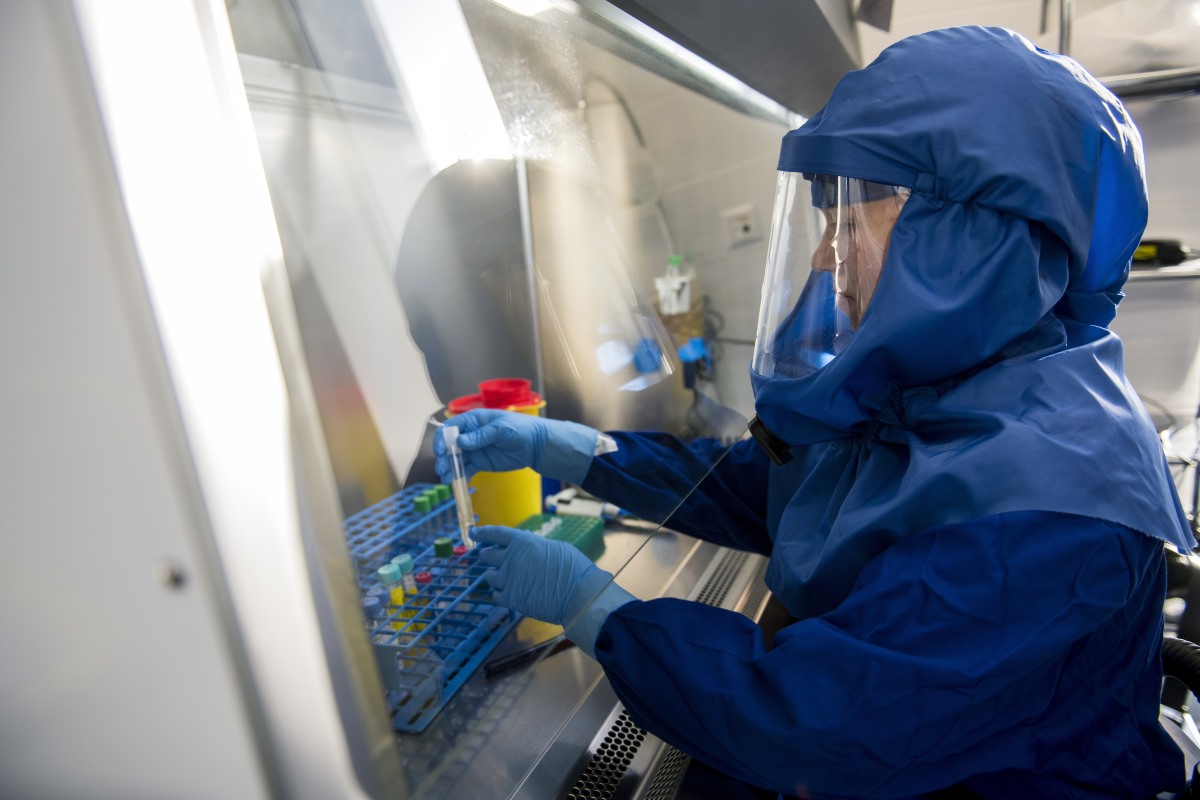 Harminckét vírusminta teljes genetikai analízisét végezték el pécsi kutatók