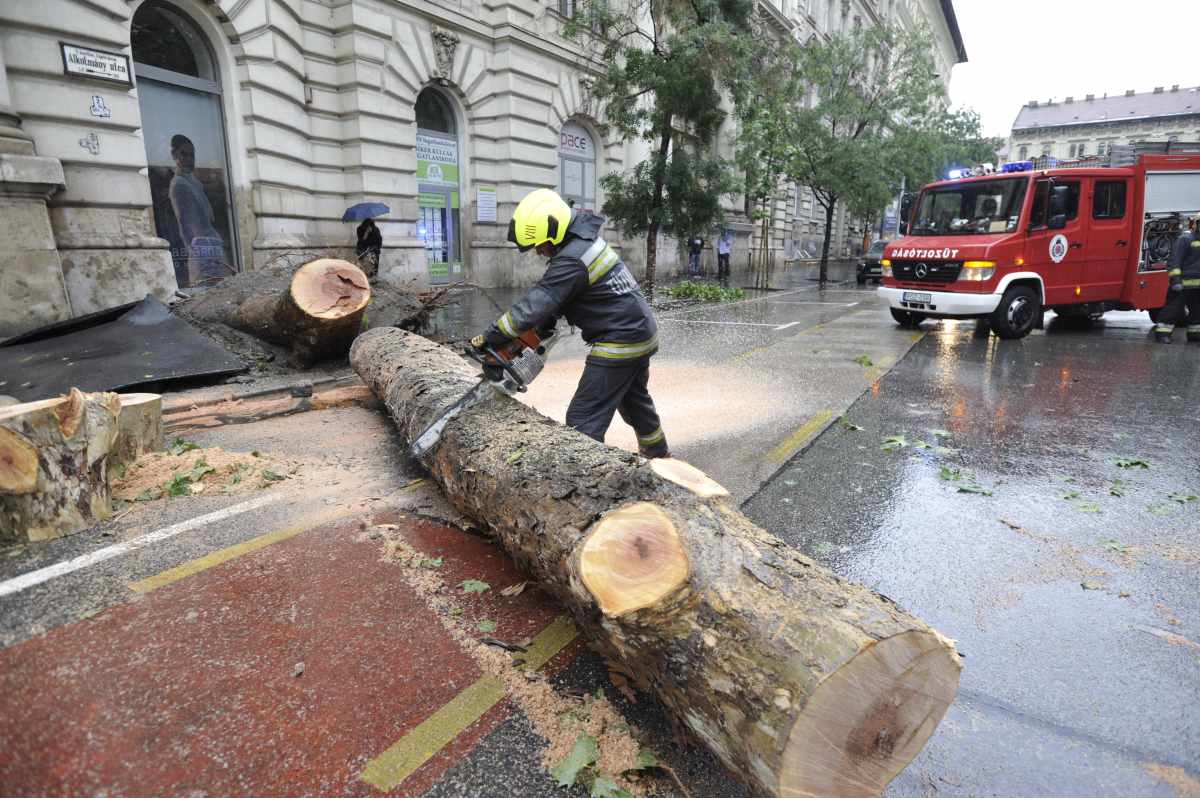Budapesten több mint 350 helyre vonultak ki a tűzoltók a vihar miatt