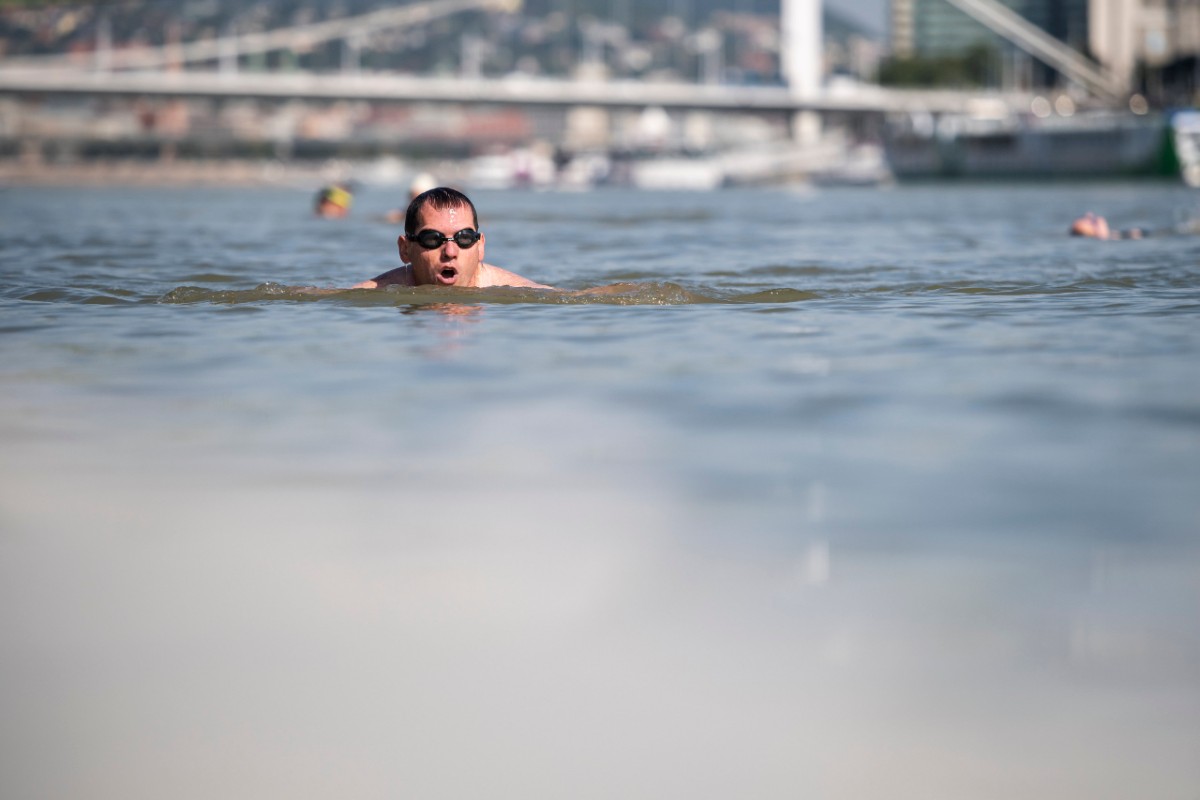 Több százan úszták át a Dunát a belvárosnál
