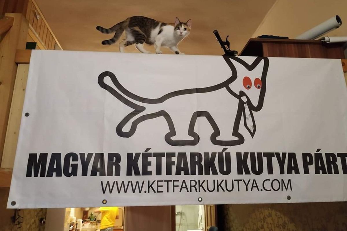 A Magyar Kétfarkú Kutya Párt a Nyugati téren gyűjt adományokat a menekültek számára