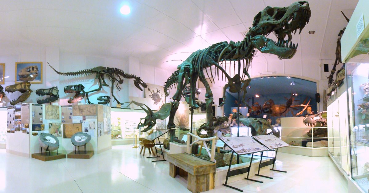 31,8 millió dollárért adták el Stant, a Tyrannosaurus rex csontvázat