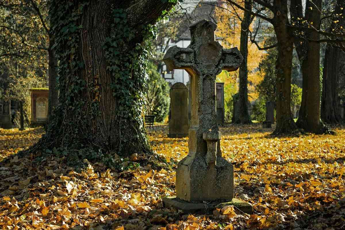 Telex: Leállt a sírgondozás a legnagyobb budapesti temetőkben