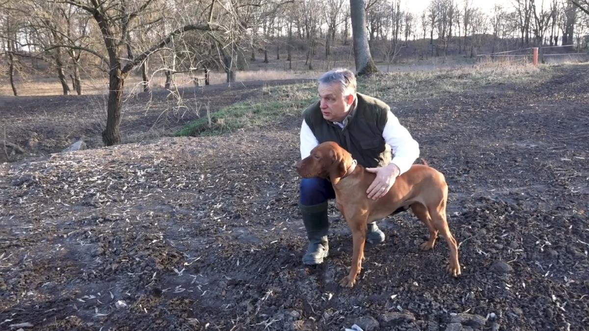 Nyílt levél az állatvédelemről Orbán Viktornak