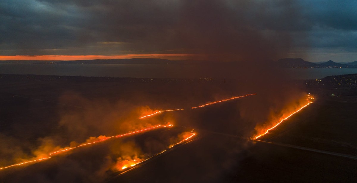 120 hektáron égett a balatoni nádas Fonyódnál – videóval